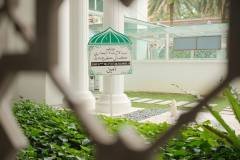 image-slider-with-thumbnail4.jpeg